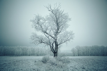 Similar image 10534932