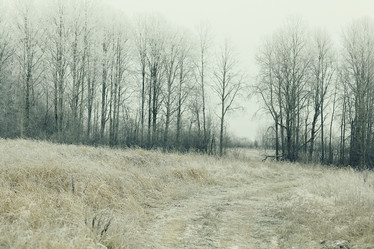 Similar image 10534934