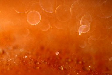 Similar image 10534941