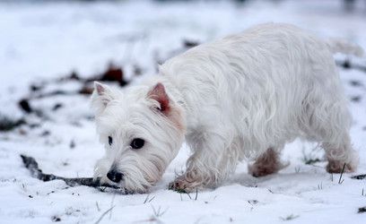 Similar image 10534980