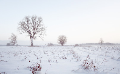 Similar image 10534981