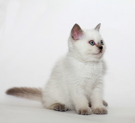 Similar image 10534983