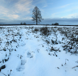 Similar image 10534986