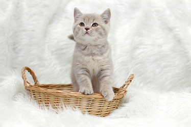 Similar image 10534988