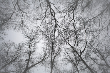 Similar image 10535042