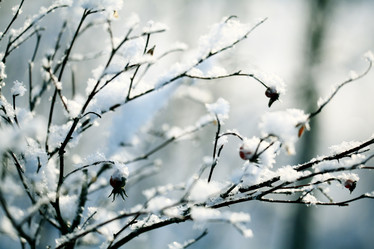 Similar image 10535049