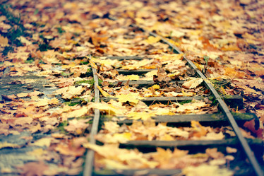 Similar image 10535058