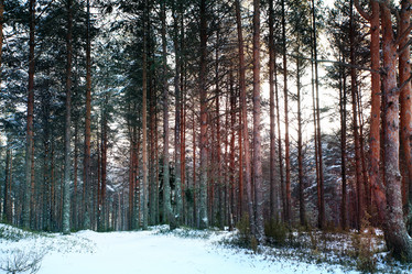 Similar image 10535059