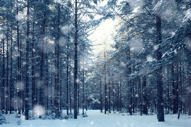 Similar image 10535063