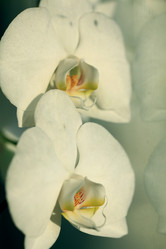 Similar image 10535088