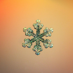 Similar image 10535106