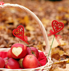 Similar image 10535186