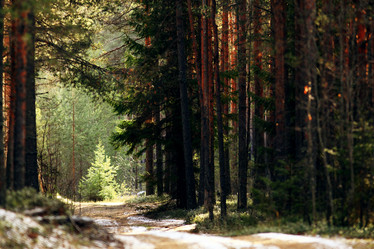 Similar image 10535191