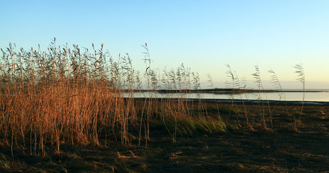 Similar image 10535192