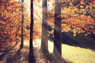 Similar image 10535199