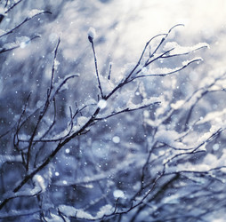 Similar image 10535201