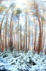 Similar image 10535200