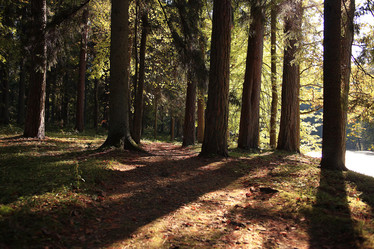 Similar image 10535203