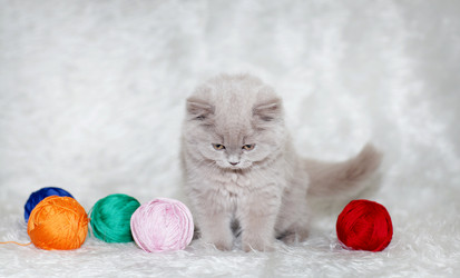 Similar image 10535202