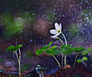 Similar image 10535210