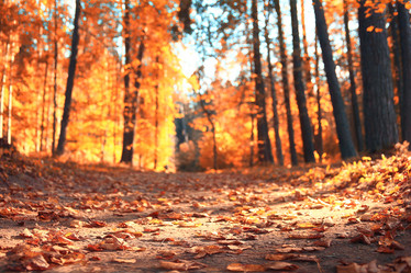 Similar image 10535217