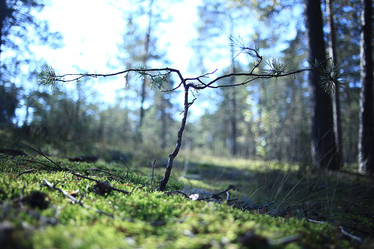 Similar image 10535223