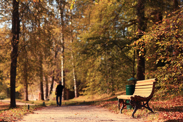 Similar image 10535226