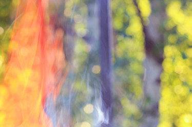 Similar image 10535231