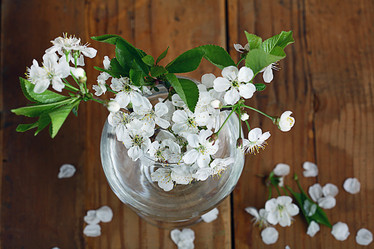 Similar image 10535235