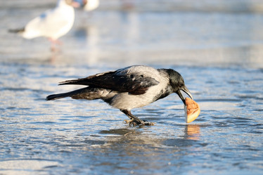 Similar image 10535238