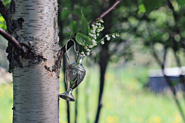 Similar image 10535242