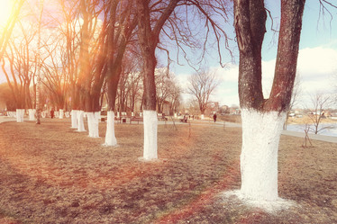 Similar image 10535245