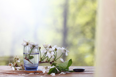 Similar image 10535250