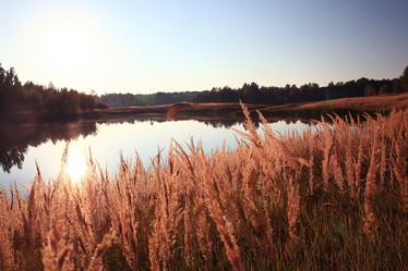 Similar image 10535270