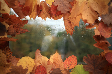 Similar image 10535275