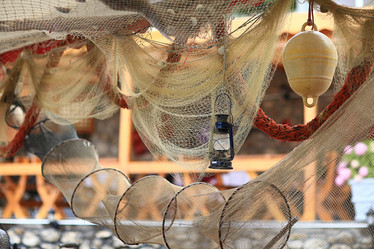 Similar image 10535279