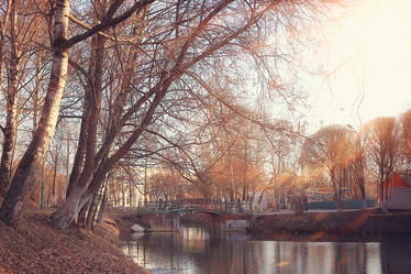 Similar image 10535294