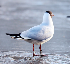 Similar image 10535301