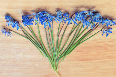 Similar image 10535306