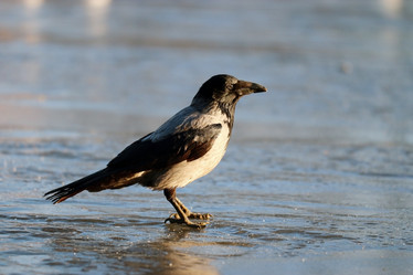 Similar image 10535308