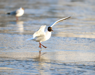 Similar image 10535309