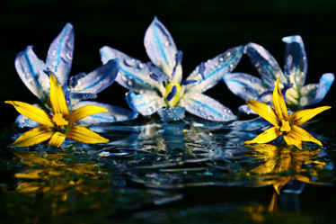 Similar image 10535330