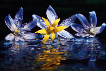 Similar image 10535332