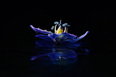 Similar image 10535334