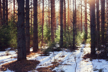 Similar image 10535337