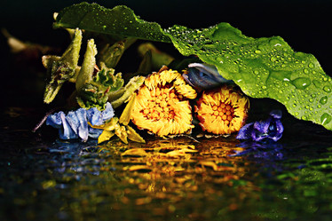 Similar image 10535338