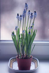 Similar image 10535345