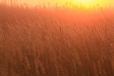 Similar image 10535351