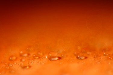 Similar image 10535367