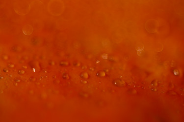 Similar image 10535368